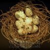 Ксения 68 - Винтажные пасхальные яйца